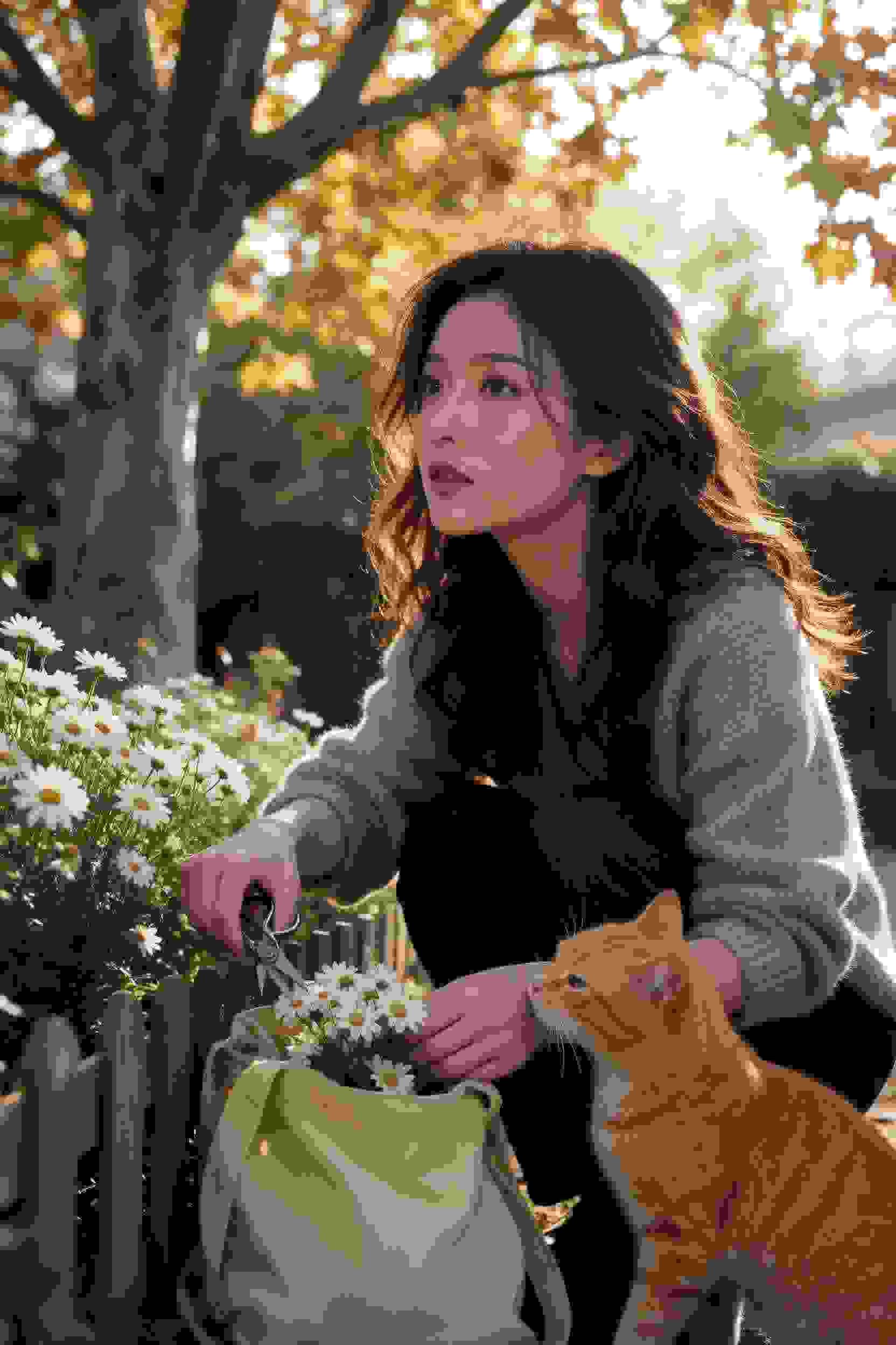 剧集